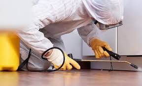 Best Pest Prevention Services  in Shavertown, PA